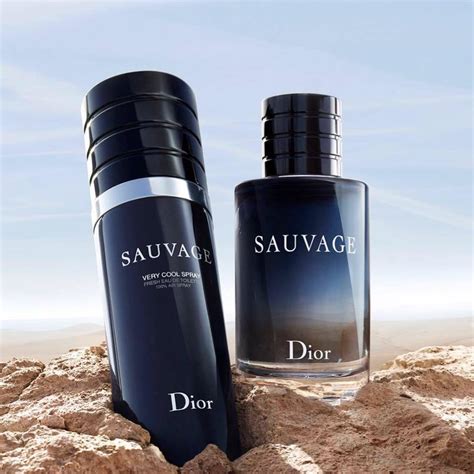 spray dior sauvage|dior sauvage rossmann.